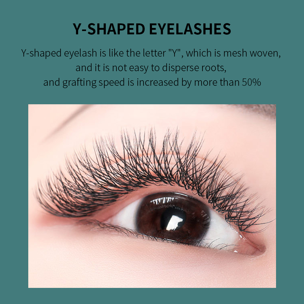GLAMLASH YY-Form, schwarze Wim – Eyelash Extension Yelix Bewertung und Preis