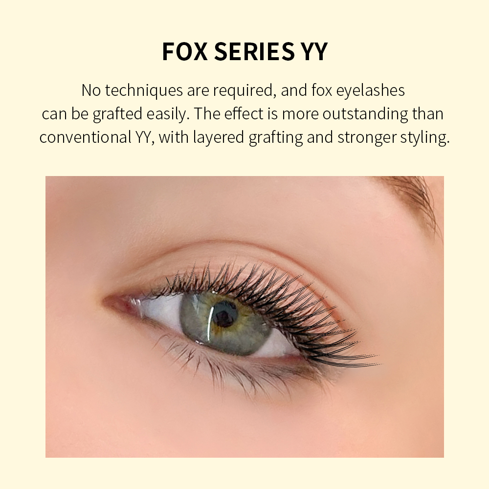 GLAMLASH Flying YY 3DW 4DW 5DW – Eyelash Extension Yelix Bewertung und Preis